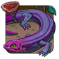 Weird Purple Skink