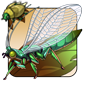 Glittering Lacewing