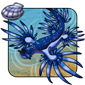 Blue Dragon Seaslug