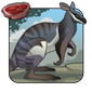 Clawfoot Wallaby