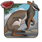 Miniature Wallaby