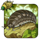 Rolly Polly