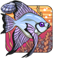 Longfin Angelfish