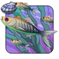 Kelp Beds Mackerel