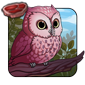 Sakura Owlet