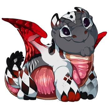 Snapper hatchling with Shadow Dark eyes, Flint Harlequin primary, Ruby Peregrine secondary, and Watermelon Capsule tertiary