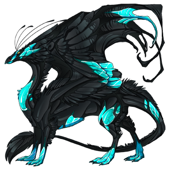 A Skydancer Male dragon with Obsidian Metallic, Obsidian Alloy, and Cyan Opal genes and Light Common eyes.