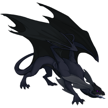 A triple basic male Mirror dragon possessing the colours Midnight, Obsidian, and Jungle.