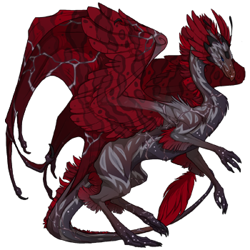 A Skydancer Female dragon with Shale Flaunt, Crimson Daub, and Thistle Veined genes and Water Rare eyes.