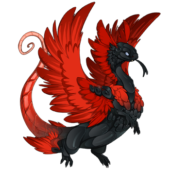 This male Coatl dragon has a smooth black body, red wings with faint stripes, a segmented, red tail that gets lighter towards the end, and white eyes.
