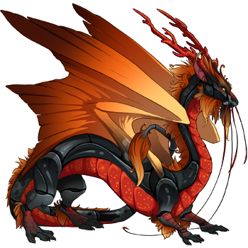 This male Imperial dragon has a segmented black body, with a glittery red belly, wings that fade from yellow to dark orange, and yellow eyes.