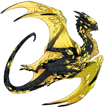 A Honeycomber dragon, a nocturne colored in black and yellow bee colors—its body is black and its wings yellow