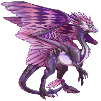 This female Wildclaw dragon has a pink and purple body with diamond-shaped patterns throughout, a glossy texture, and white eyes.