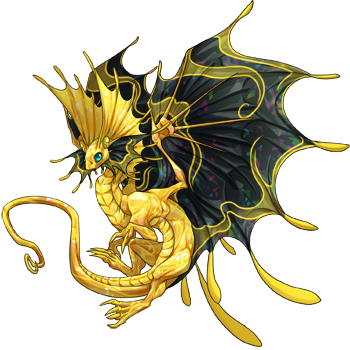 A yellow and black Foreman fae dragon. It has a yellow body, black wings, and more yellow splashed all over by its tertiary gene