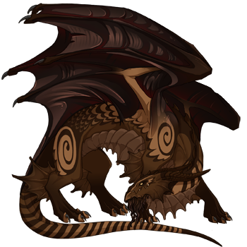This male Guardian dragon is dark brown, with brown eyes, glossy wings, and stripes, swirls, and scallop patterns on the body.