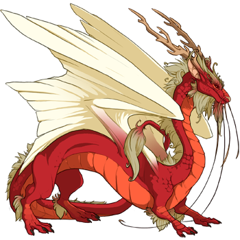 An adult male Imperial dragon with Basic genes. The primary color of the body is Red. The secondary color of the wings is Maize.