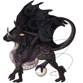 Male pearlcatcher dragon with the genes: Black Speckle, Obsidian Morph, and Blackberry Smoke