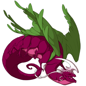 Dragonfruit