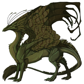 Unnamed dragon