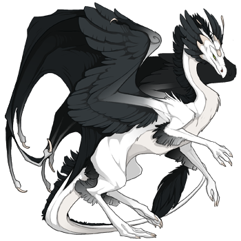 Unnamed dragon