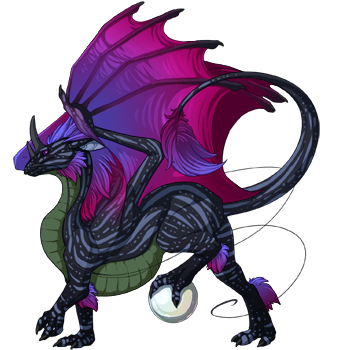 Unnamed dragon