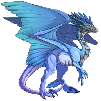 Unnamed dragon