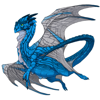 Unnamed dragon