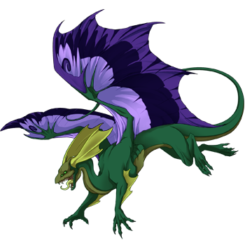 Unnamed dragon