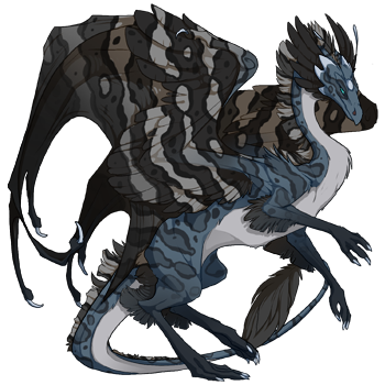 Unnamed dragon