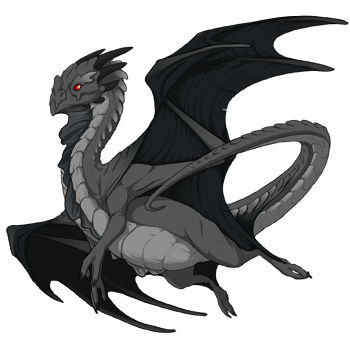 Unnamed dragon