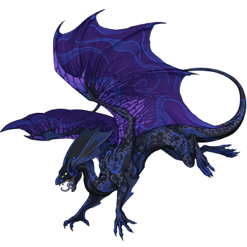 Unnamed dragon