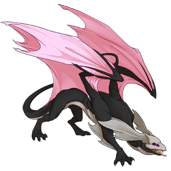 Unnamed dragon