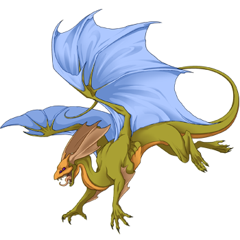 Unnamed dragon