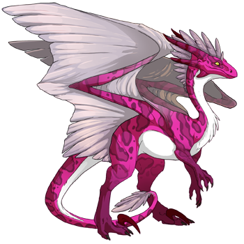 Unnamed dragon