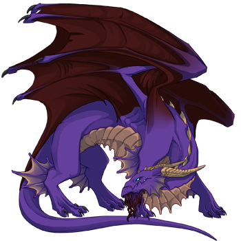 Unnamed dragon