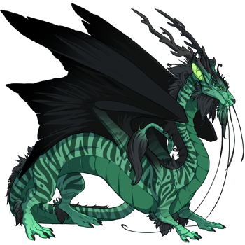 Unnamed dragon