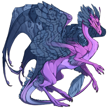 Unnamed dragon