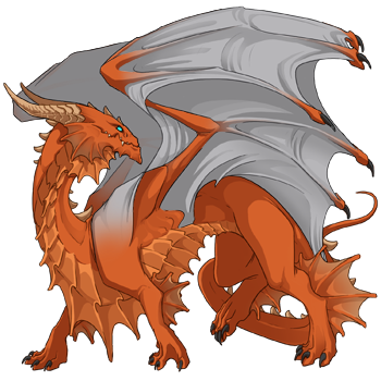 Unnamed dragon