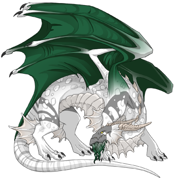 Unnamed dragon