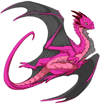 Unnamed dragon