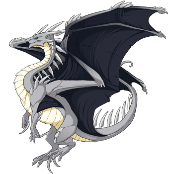 Unnamed dragon