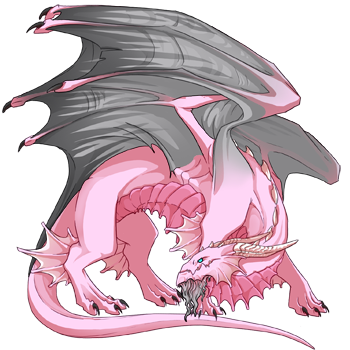 Unnamed dragon