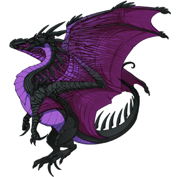 Unnamed dragon