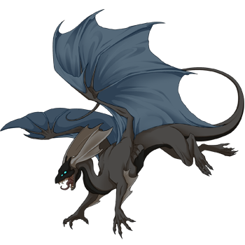 Unnamed dragon