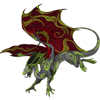 Unnamed dragon