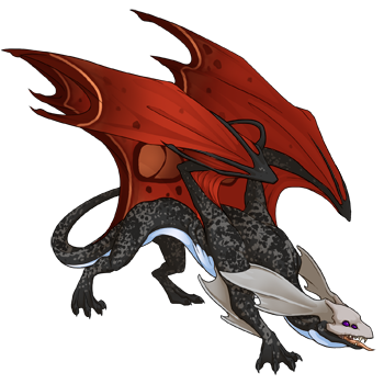 Unnamed dragon