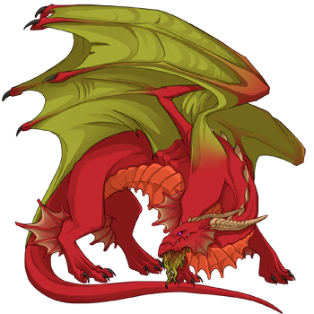 Unnamed dragon