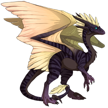 Unnamed dragon