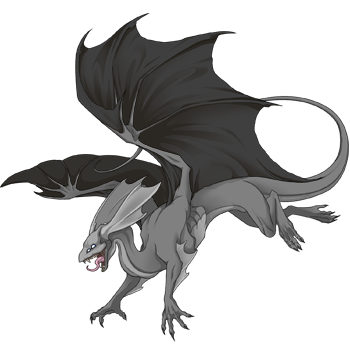 Unnamed dragon