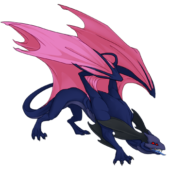 Unnamed dragon